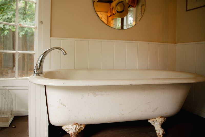 Classic Bathtub Design